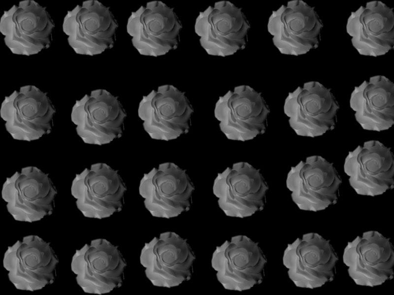 Grey Roses by Etrnlsunshine016 on DeviantArt
