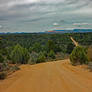 Back Roads in Utah