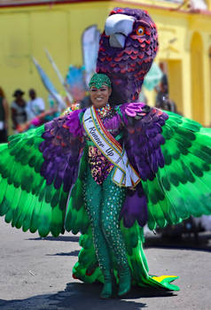 Faces of Carnival VI