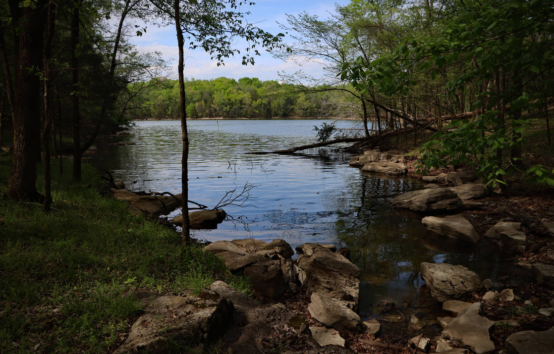 Springtime Lake Springtime Lake by vseger on DeviantArt