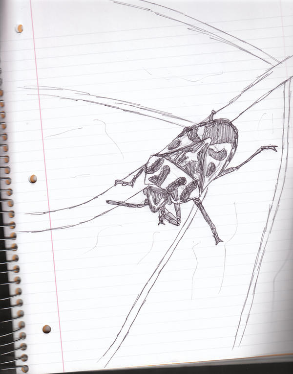 stink bug by gigan100 on DeviantArt