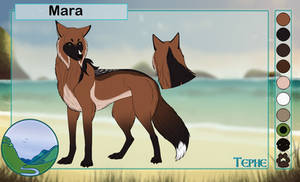 TOW-Tephe app-Mara