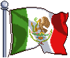 F2U Flag Icon- Mexico