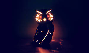 Owl Lamp