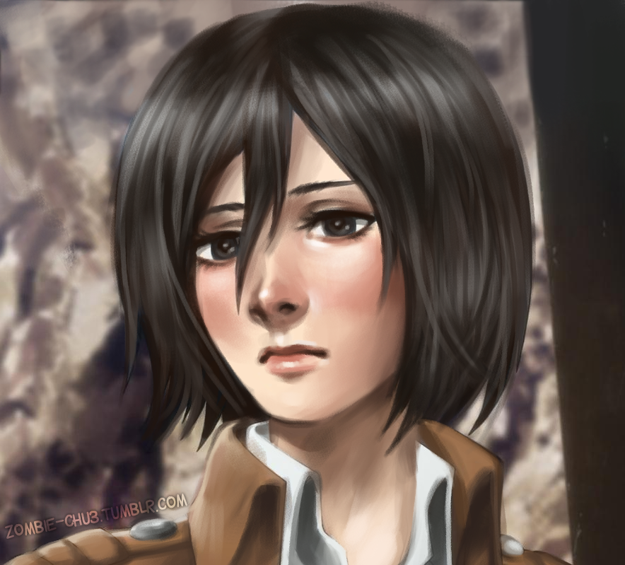 MIKASA ZOMBEHFIED, Attack on Titan / Shingeki No Kyojin