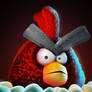 Angry Bird