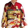 Asia Girl Kimono Traditional std rich (7)