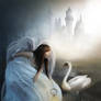 Angel Touch
