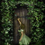 Secret door...