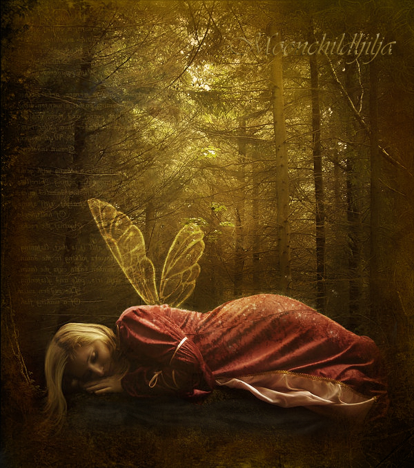 Fairy dream...