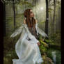 Fairy