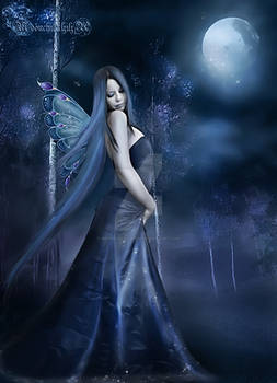 Midnight fairy...