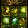 Fantasy WoodLand backgrounds