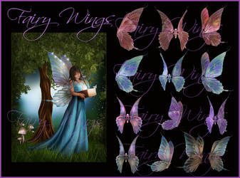 fairy Wings 2