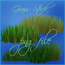 Grass 3d png file