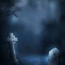 Misty night free background...
