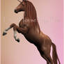 Horse Png File free