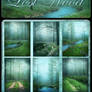 Lost Wood backgrounds