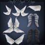 Angel Wings