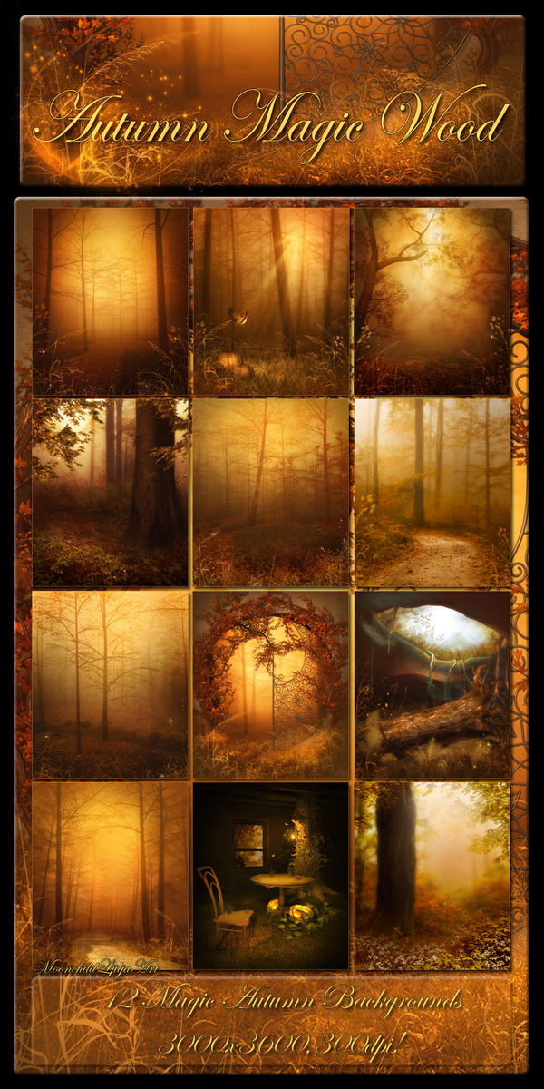 Autumn Magic Wood Backgrounds By Moonchild ljilja On DeviantArt autumn-magic-wood-backgrounds-by-moonchild-ljilja-on-deviantart