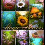 Magic Flowers Backgrounds