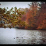 An autumn day at the Pfaffenwaldsee