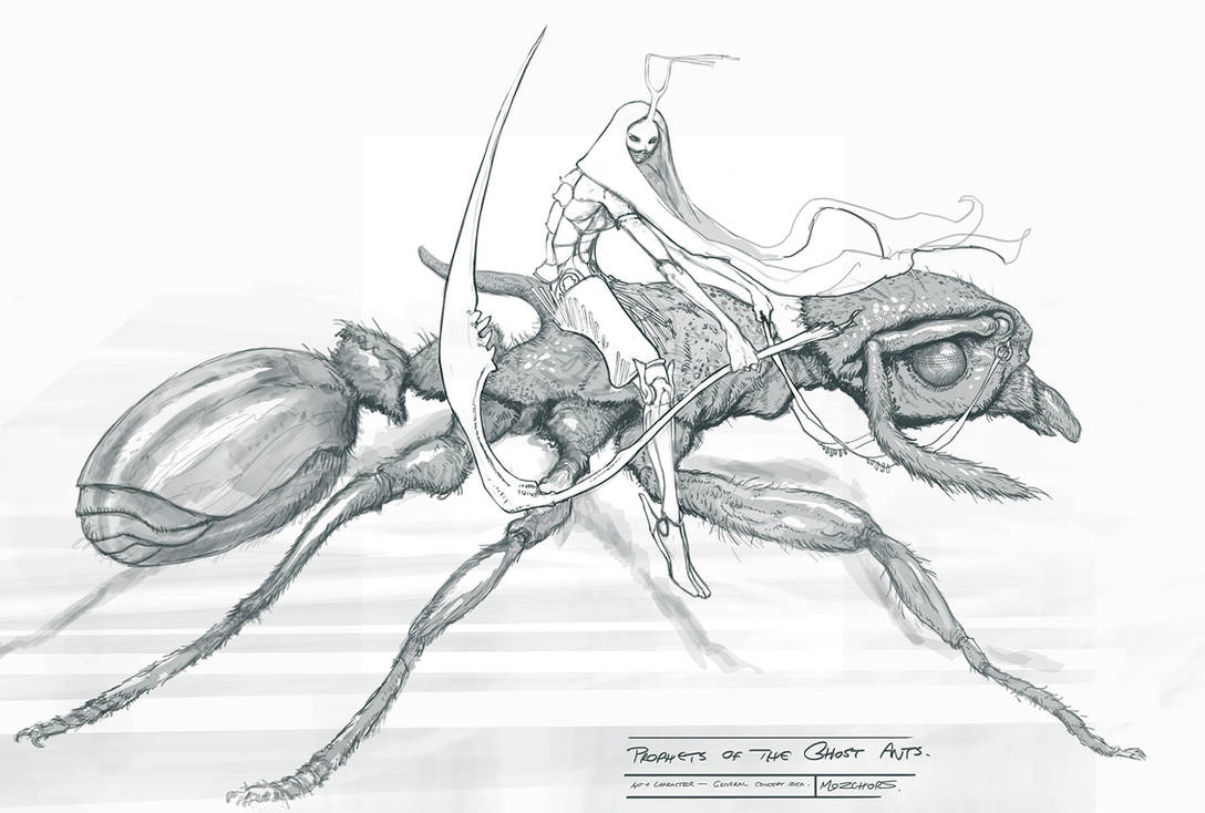 Female Warrior on Ant by m0zch0ps Female Warrior on Ant by m0zch0ps