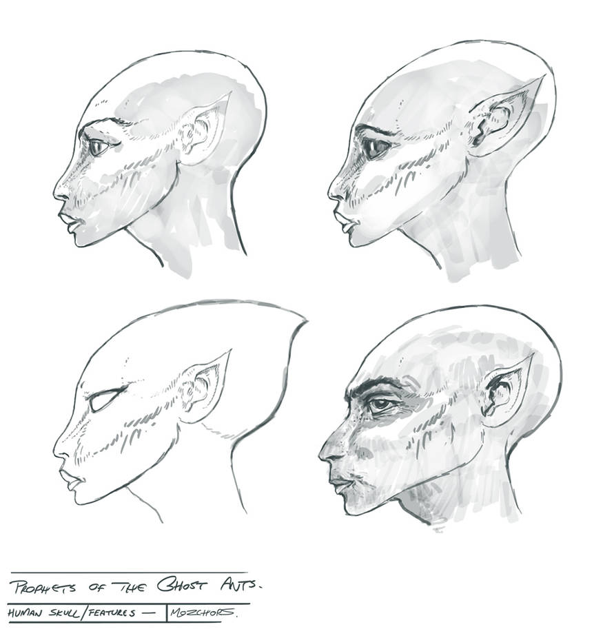 Face-shapes-01 by m0zch0ps Face-shapes-01 by m0zch0ps