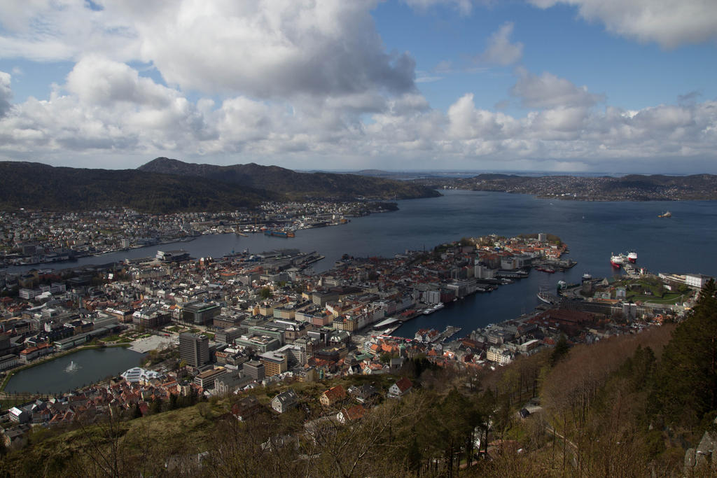 Bergen from Above