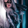 Black cat in Spider suit