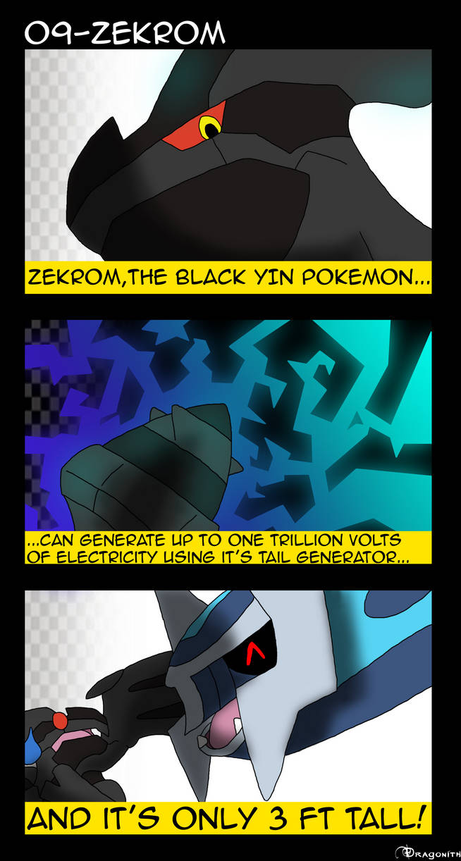 Zekrom  Pokemon by thedragoncastle on DeviantArt