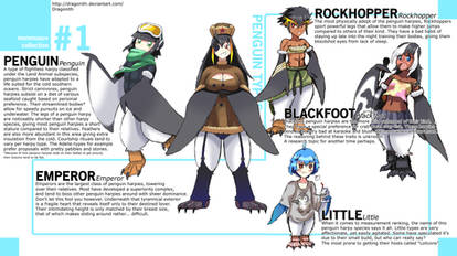 Monster Musume+: Penguin Species