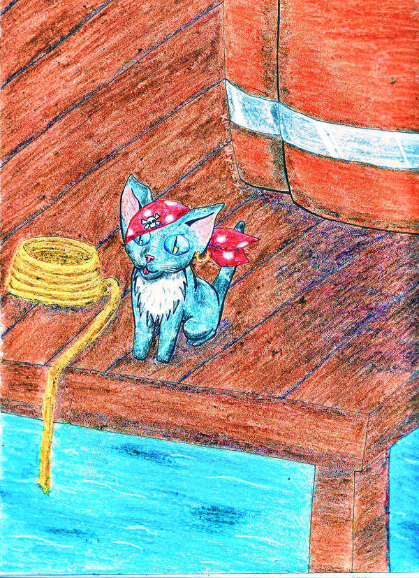 002.Pirate Kitten