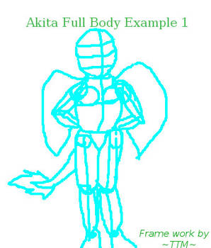 Akita Full Body Ex1