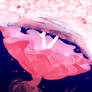 cacophony