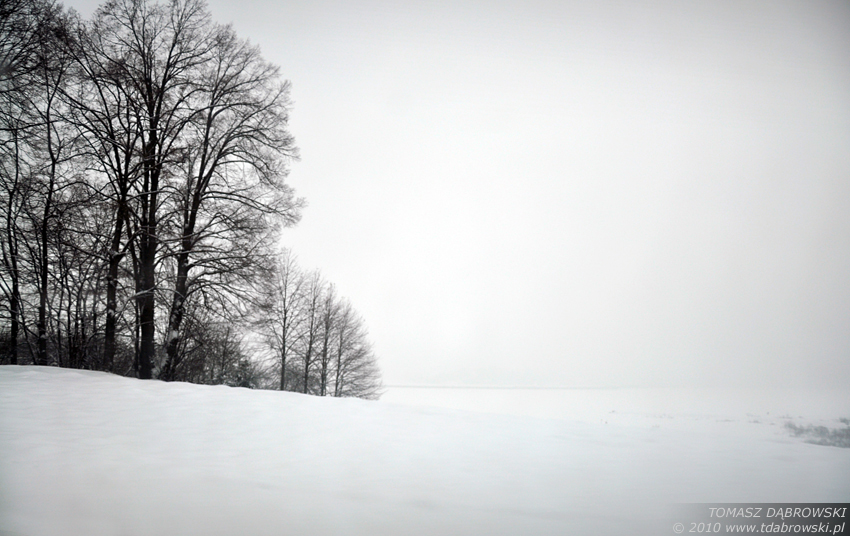 Whitescape II