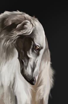 Borzoi: Painting Study