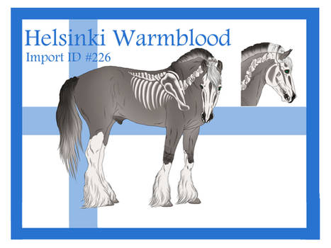 The Helsinki Warmblood Import ID #226