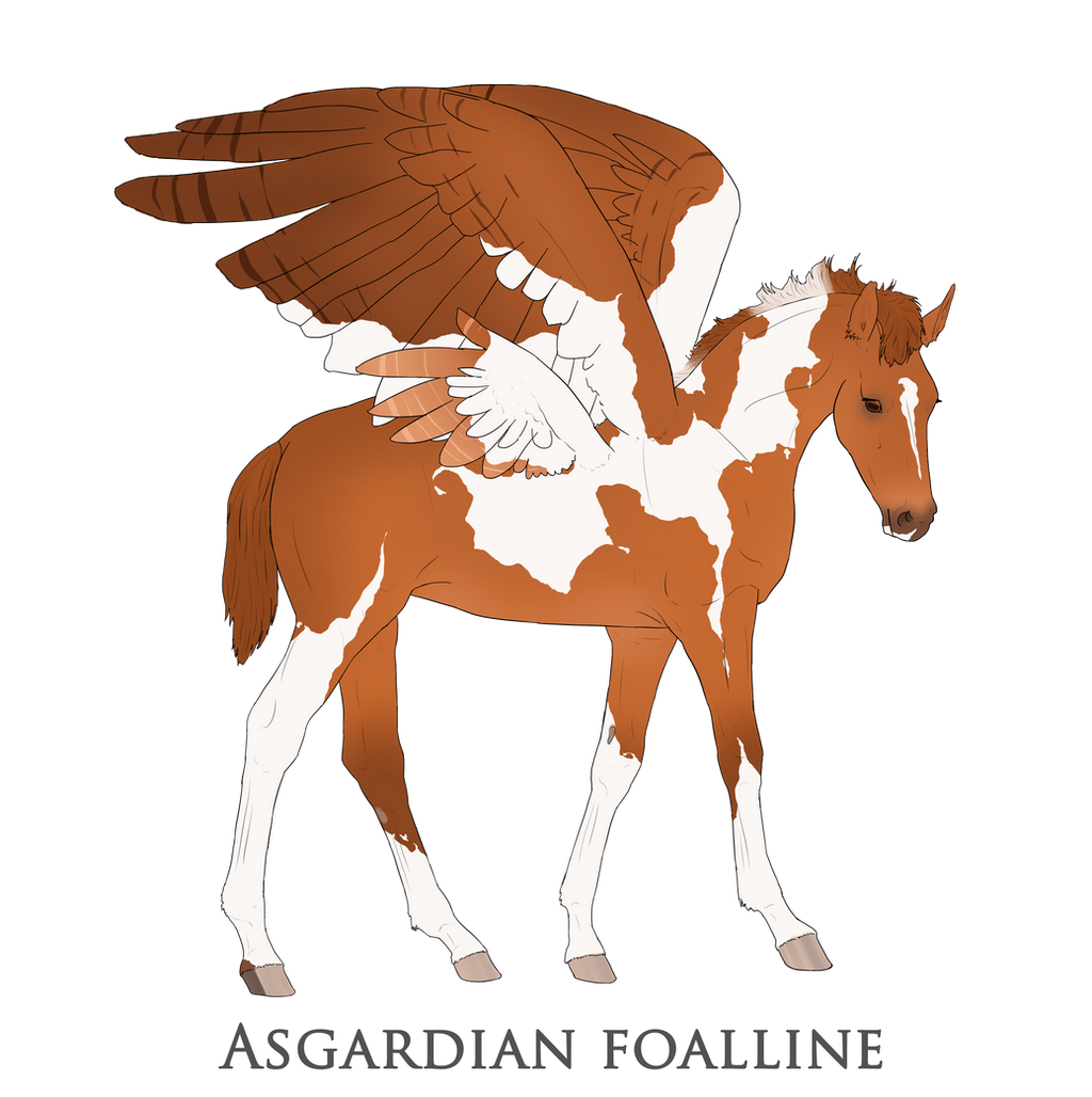 Asgardian Foal Design02