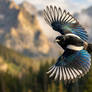 Echoes in the Rockies