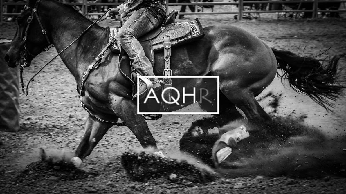 AQHR Header - Monthly