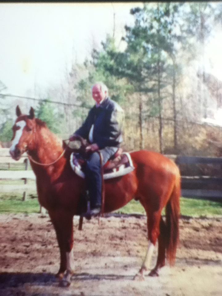 Buddy my old horse