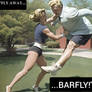 The flight of the Barfly