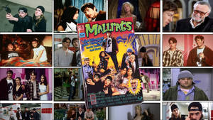 HD Wallpaper - Mallrats