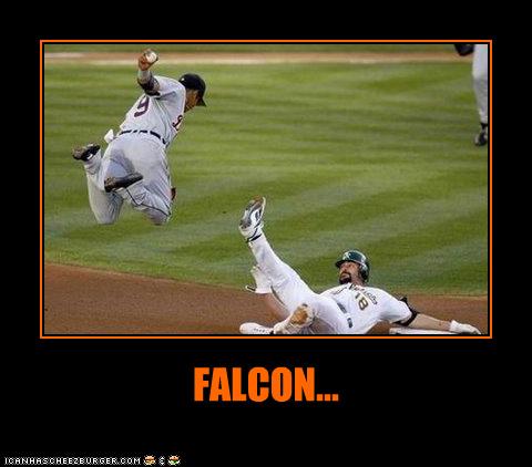 Falcon...