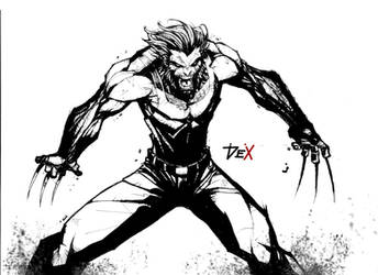 wolverine