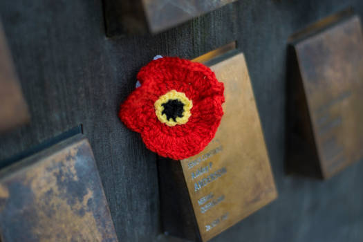 Crocheted Poppy