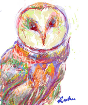 owl