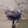 Silvery Nest...