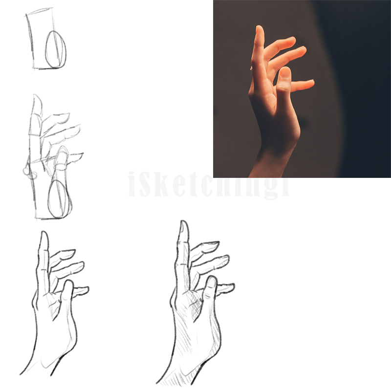 Hand Graphics Basic Design Hand Tutorial by iSketchingi on DeviantArt